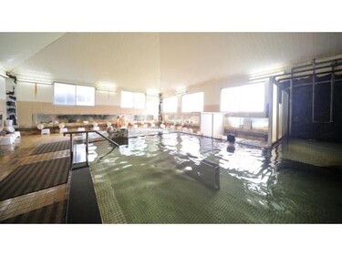 Tennen Onsen Kakenagashi no Yado Hotel Pony Onsen - Vacation STAY 50916v