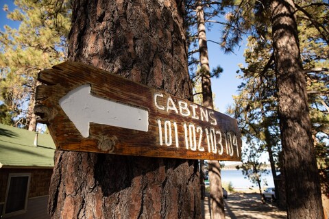 쇼어 에이커스 로지 #451