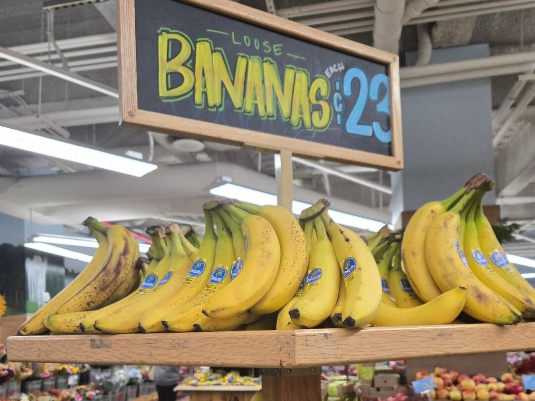 미국 기념품으로 유명한 트레이더조 마트 냉동 한식 추천