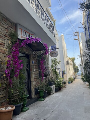 티아나 부티크 호텔