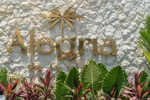 알레그리아 드 라 비다