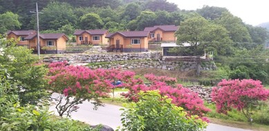 울진 덕구숨황토민박펜션