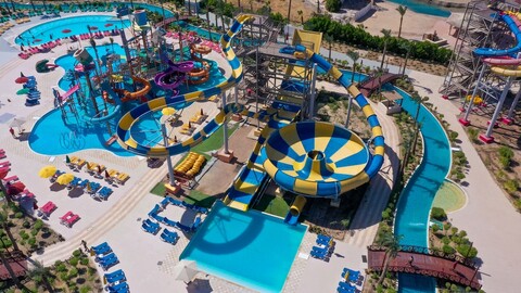 칼리메라 블랜드 파라다이스