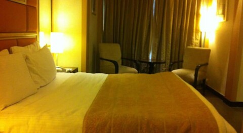 레몬 트리 프리미어, 자이푸르