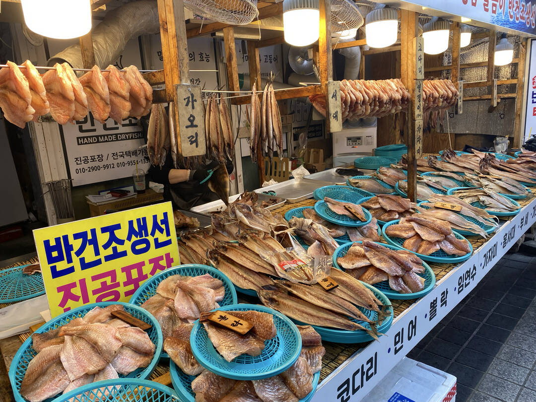 속초-장소0
