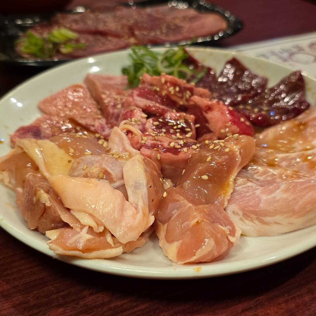오사카-자유톡2