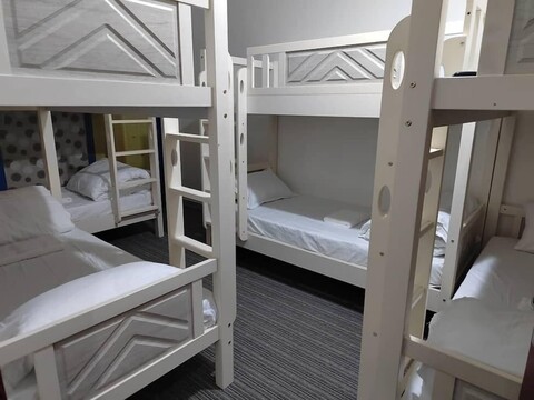 디네스트 호스텔