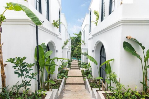 그린포레스트 아나하타