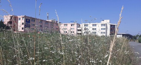 호텔 키리아드 오를 아에로포르트 아티 몬