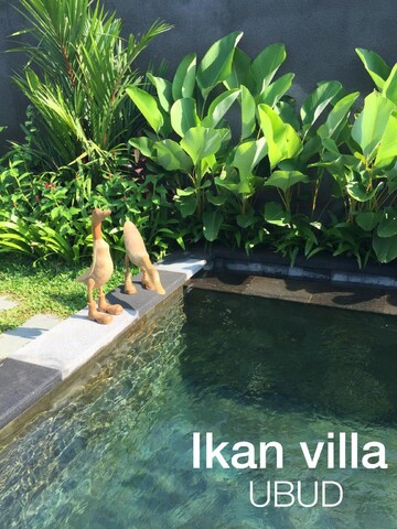 이칸 빌라 우붓