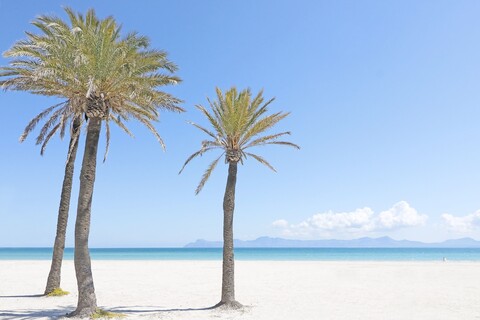 보나비다 아파트먼트