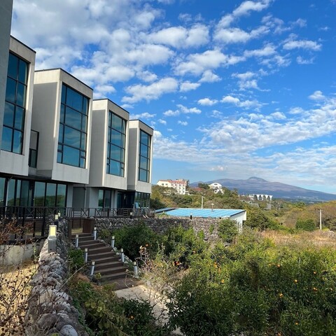 스테이 인 제주