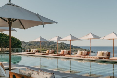 릴리 오브 더 밸리