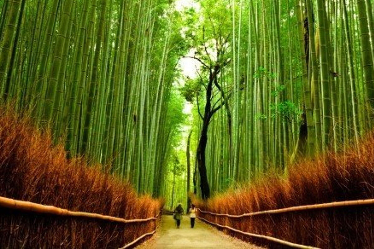 여행 상품 이미지