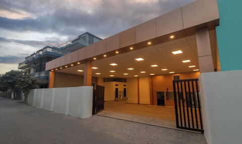 트리보 골든 카시