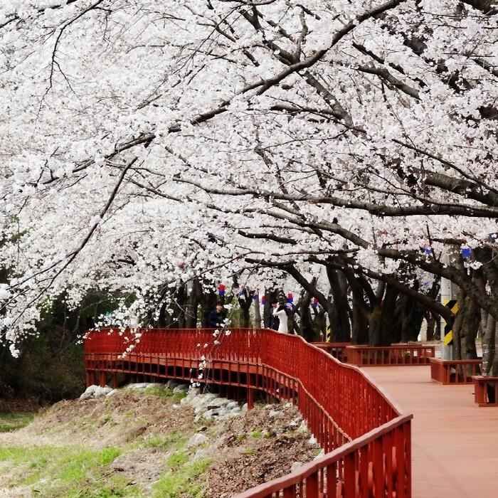 여행 상품 이미지