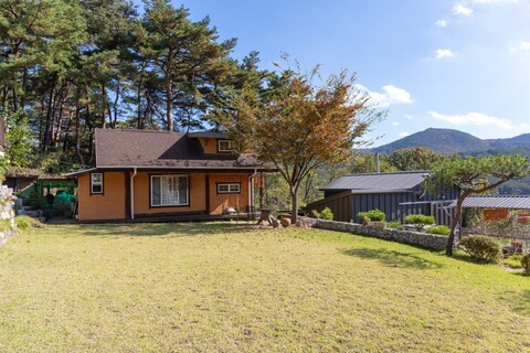 강릉 정감이간다