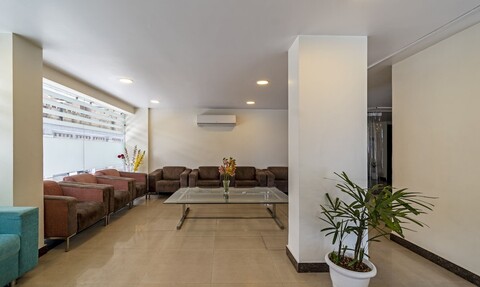 트리보 프리미엄 로즈 말로우