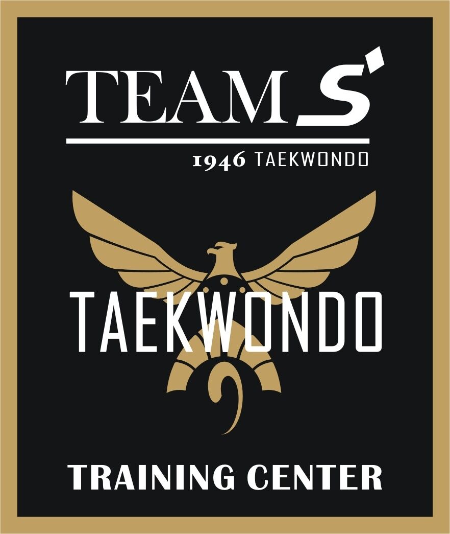 팀에스태권도