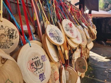[구마모토 출발, 특전] 유유버스투어 아소 쿠로카와 일일버스 쿠로카와 하차가능