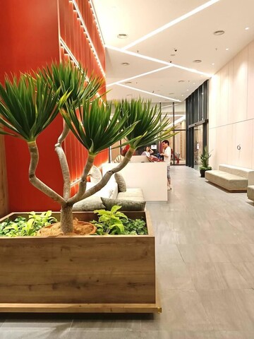 코브사인 스위트, 더 쇼어 코타 키나발루