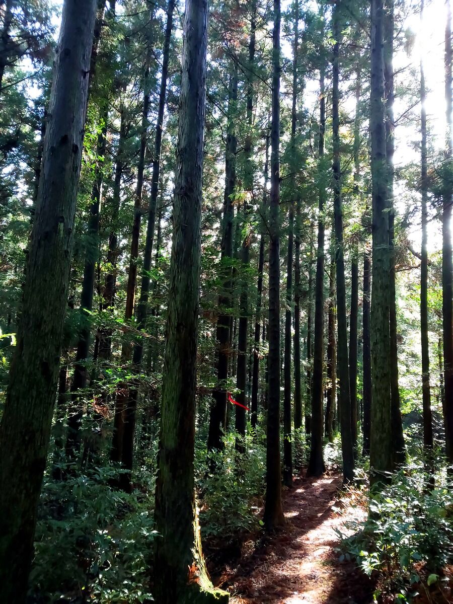 여행 상품 이미지