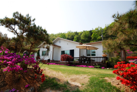 여주 약수터펜션