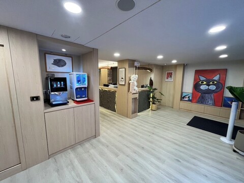 캣 테일 포켓 인 시먼