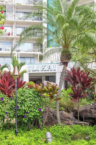 일리카이 호텔 콘도, 와이키키, 주차 불가