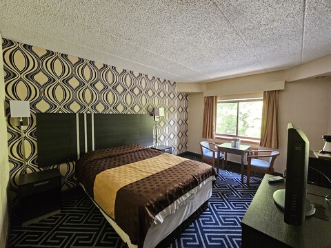 라 미라지 모터 인