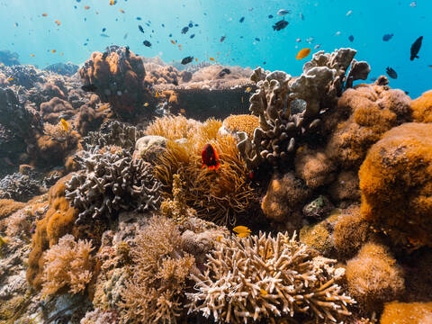 product-thumbnail-1