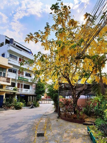 베드 앤 테라스 게스트하우스