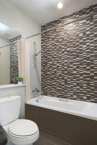 시타딘스 업랜즈 쿠칭