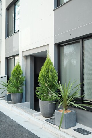 타스키 스마트 킨시초 II