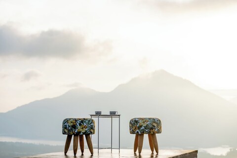 더 위타리 킨타마니