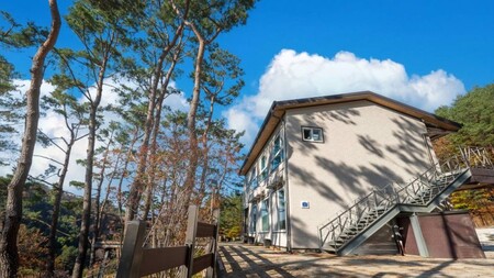 화천 소나무숲 방주산장