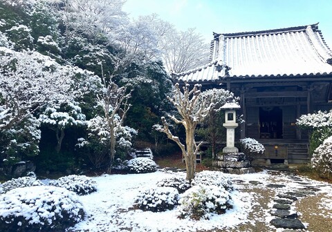 치쿠리닌 군포엔