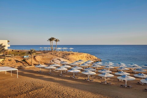 자즈 네오 리프 마르사