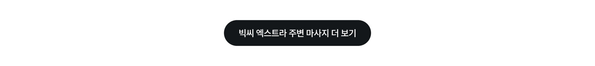 빅씨 엑스트라 더보기.jpg