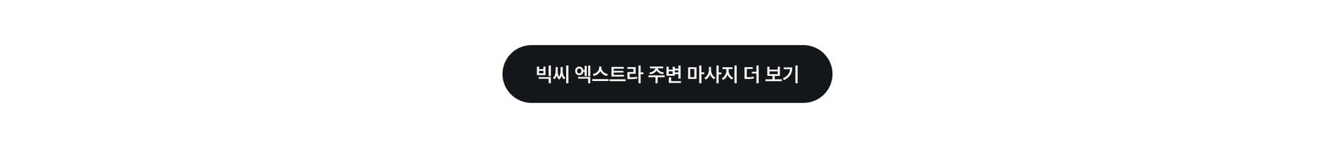 빅씨 엑스트라 더보기.jpg