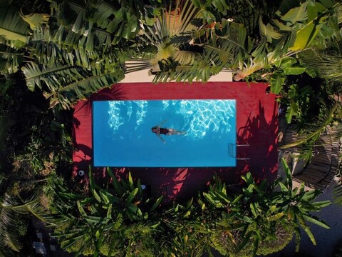 더 캐노피 크라비