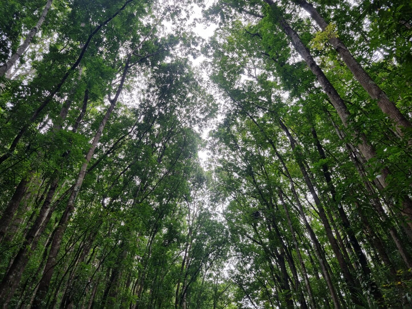 후기 사진