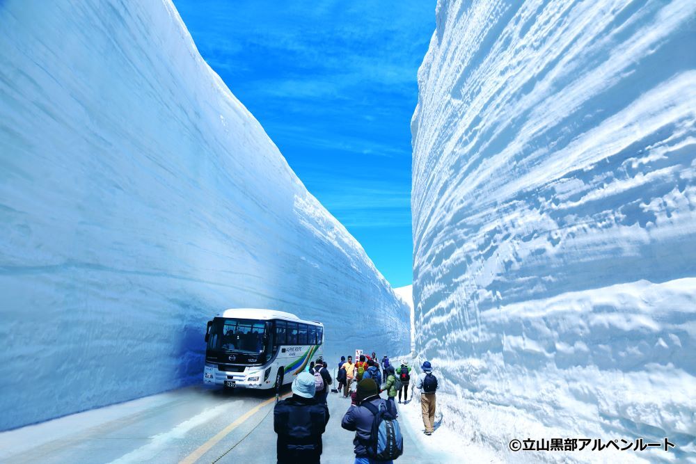 가나자와 출발 다테야마 구로베 설벽 2025 축제 영어 가이드