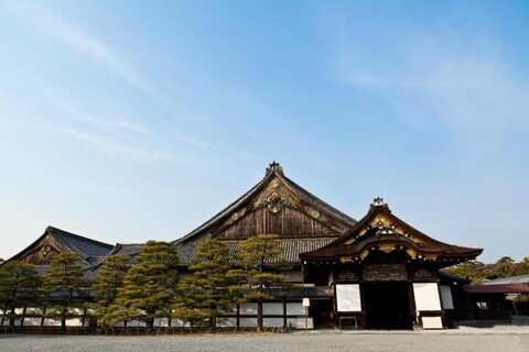 Rurian Near Kinkakuji Temple Nijo Castle