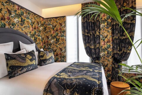 지네트 알라 폴리