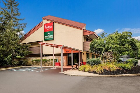 레드 루프 인 프린스턴 - 유잉