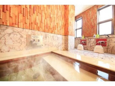 Fuji Green Hotel - Vacation STAY 18933v