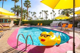 El Noa Noa - 21 and Over