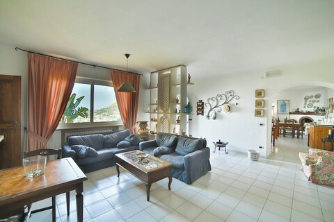 스위트포세이돈