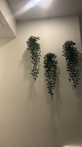 호스탈 센트로 데 마드리드 플라자 데 엘 솔